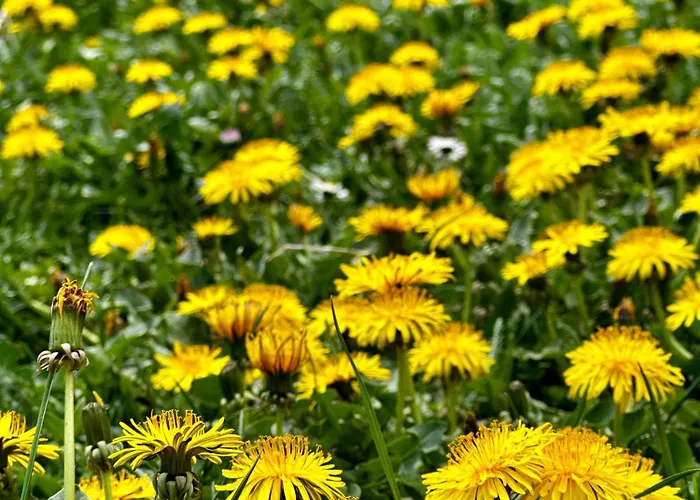 Odmor - Krajina I Vlašić